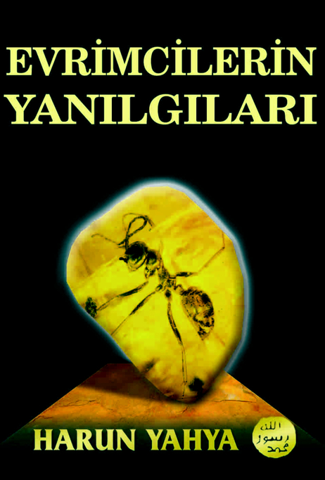 Evrimcilerin Yanılgıları